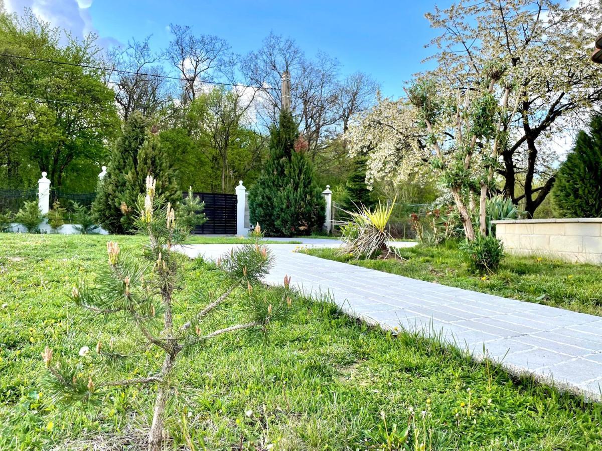 Hermesvilla Băile Felix 外观 照片